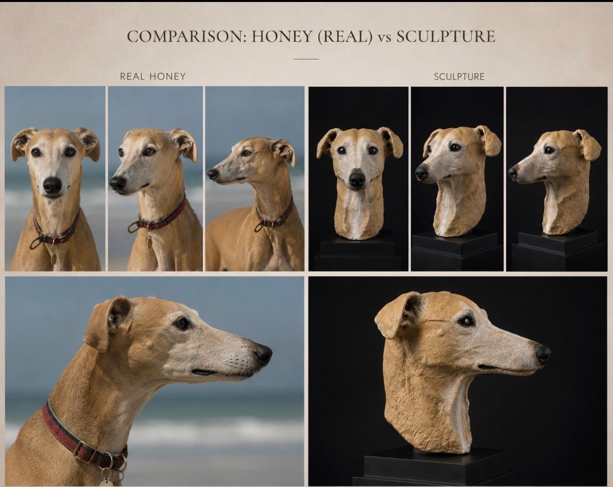 Comparison of Honey the greyhound with her hand-sculpted clay portrait